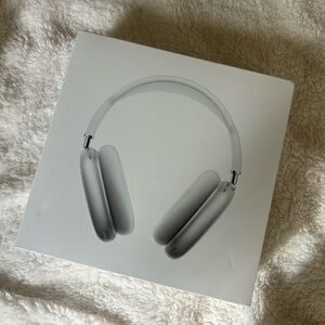 Apple Silver Headphones
